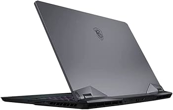 MSI GE76 Raider Gaming Laptop 2021 (1TB SSD, 16GB RAM) 17.3